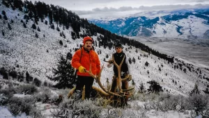 elk hunting