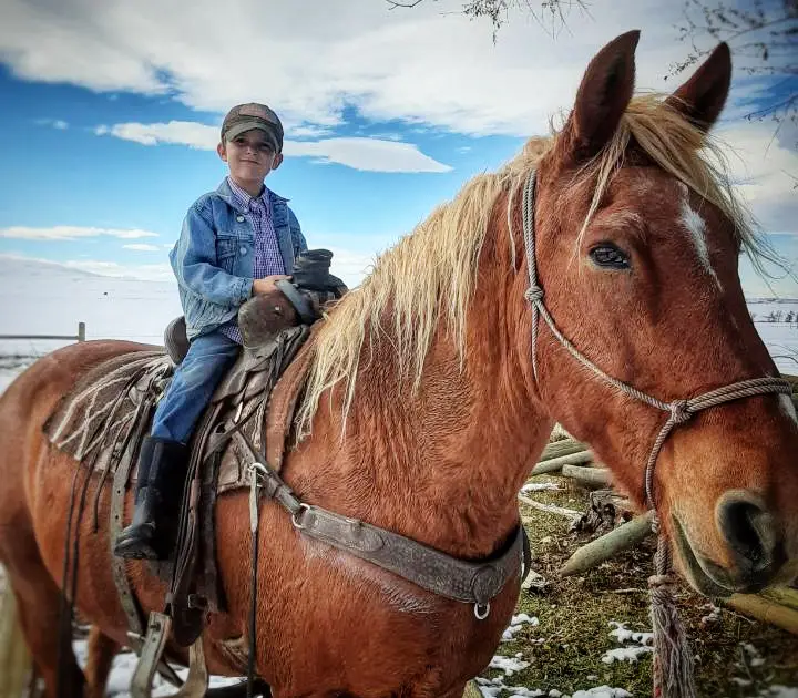 trail ride Montana