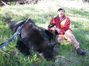 black bear hunting